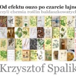 Krzysztof Spalik